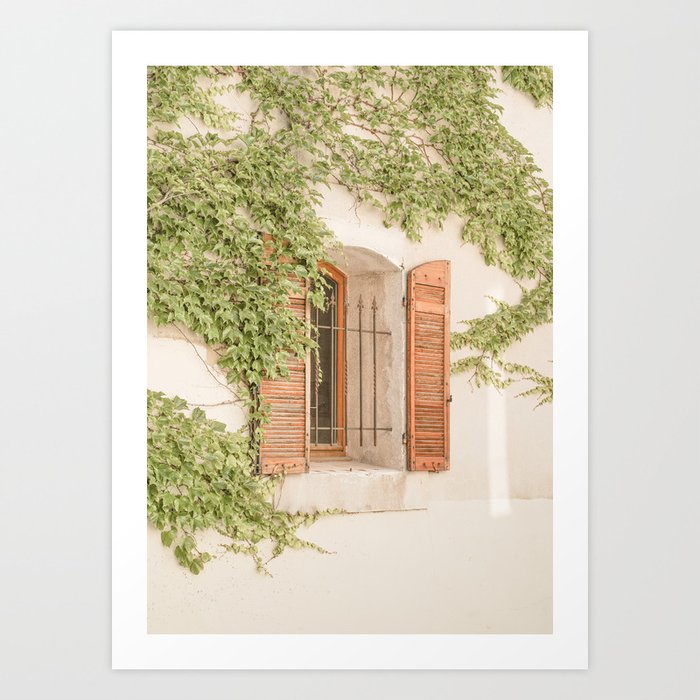 French Window Shutters Photo | Botanical Summer Art Print from Lyon | France Travel Photography Art Print