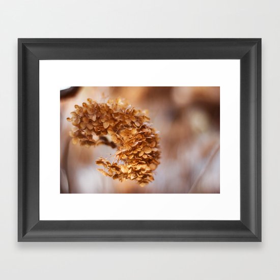 Winter Hydrangea Framed Art Print
