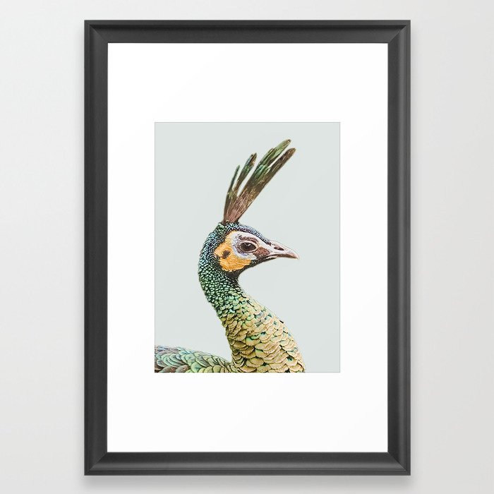 Peacockin' Framed Art Print