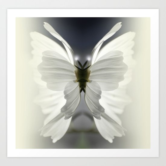 Butterfly Art Print