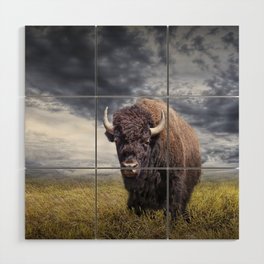 Plains Buffalo on the Prairie Wood Wall Art