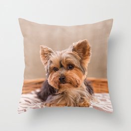 Tiffany the Teacup Yorkshire Terrier Throw Pillow