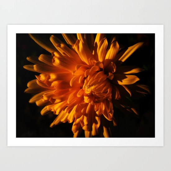 Autumn Flower Art Print