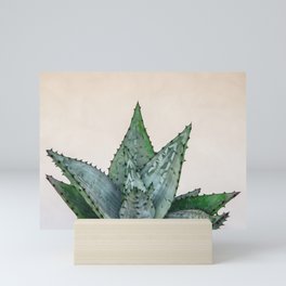 nature VI cactus Mini Art Print