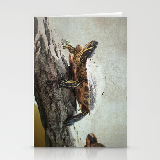 turtle Stationery Cards