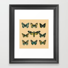 Butterflies and Moth of Europe Framed Art Print