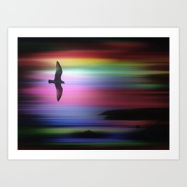 Flight 721 Art Print | Digital, Seagul, Sea, Artwork, Above, Berryhead, Coastal, Art, Flying, Sunset 