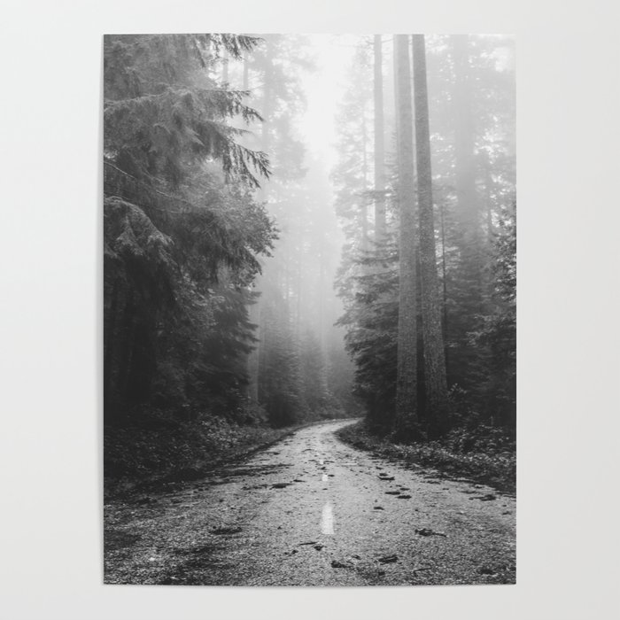Redwood Forest Adventure Black and White - Nature Photography Poster