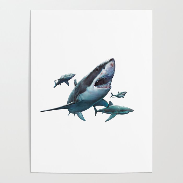 Great White Sharks Poster
