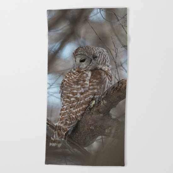 Sleepy Owl Beach Towel