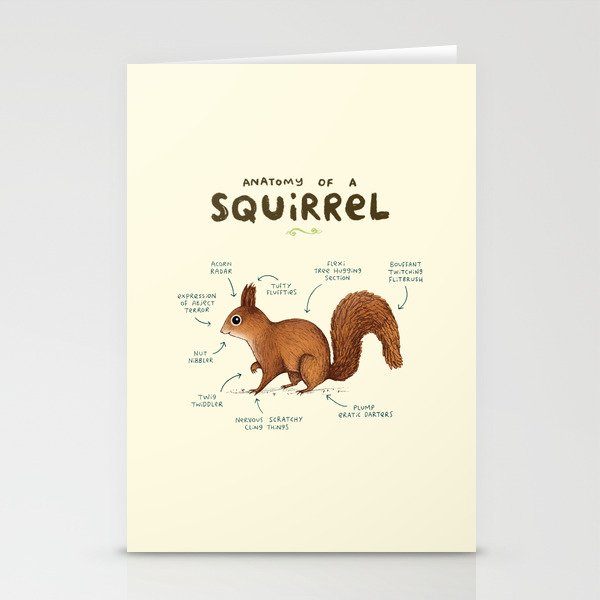 Anatomy of a Squirrel Stationery Cards