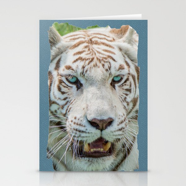 THE BEAUTY OF WHITE TIGERS Stationery Cards
