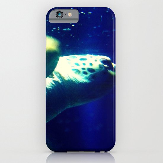Turtle iPhone & iPod Case