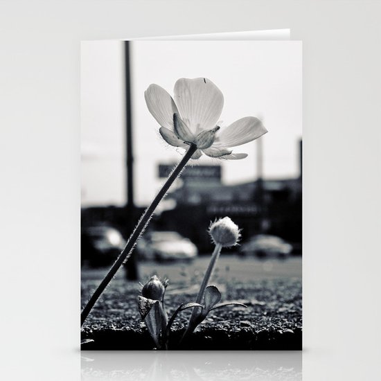 Roadside beauty Stationery Cards