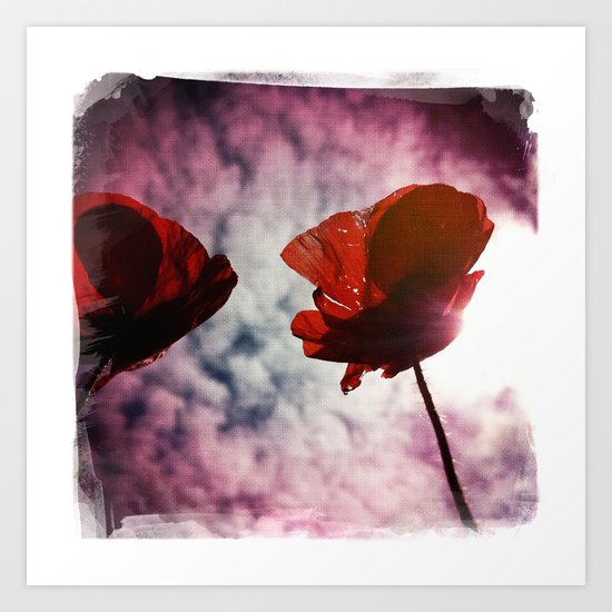 Poppies Art Print