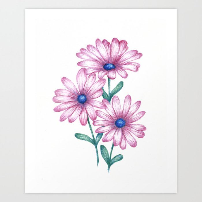 pink daisy drawing