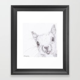 Hello Squirrel Framed Art Print