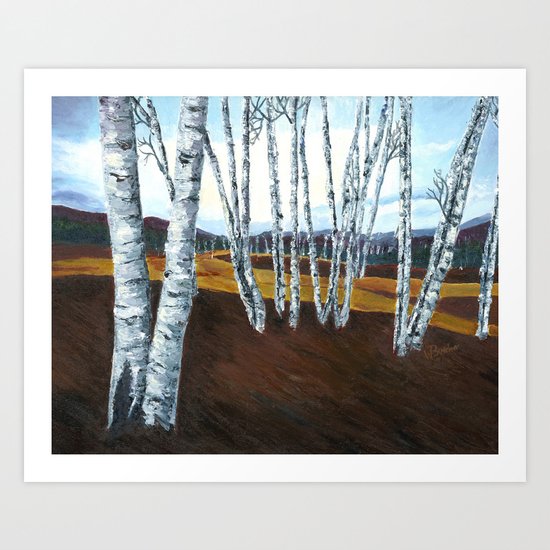 Birch Trees Art Print