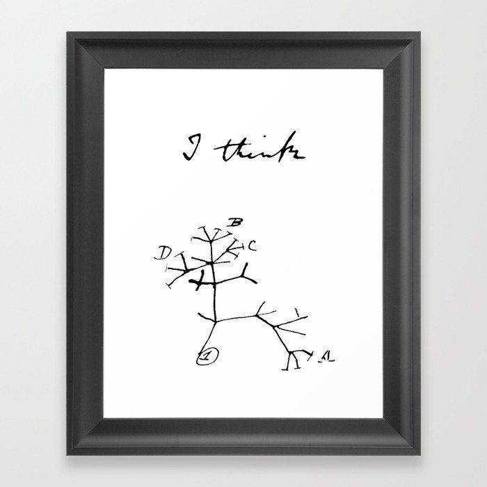 Darwin - Tree of Life - I Think Framed Art Print