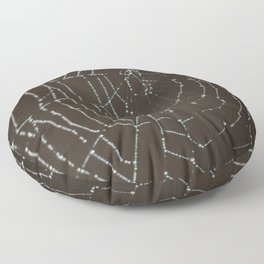 Spiderweb in Spring Floor Pillow