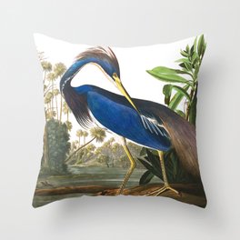 Louisiana Heron by John James Audubon Throw Pillow