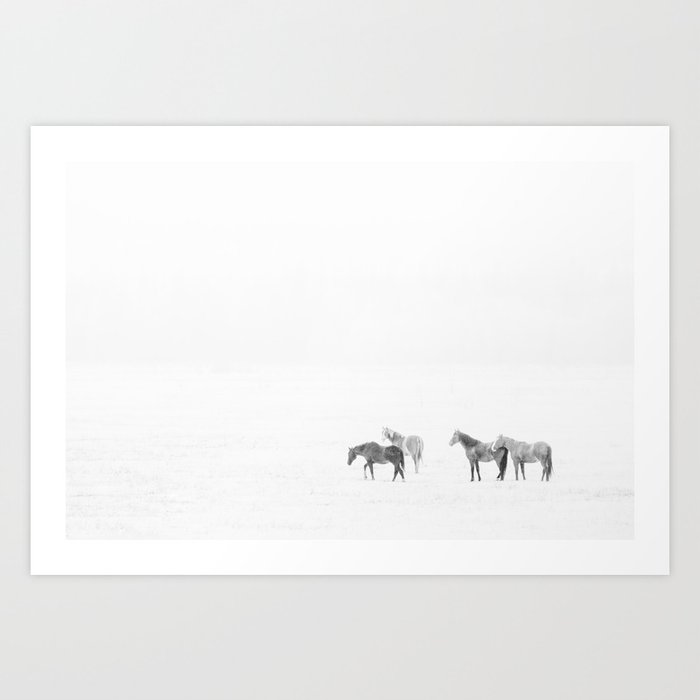 Snow Angels - Winter Horse Photography Art Print