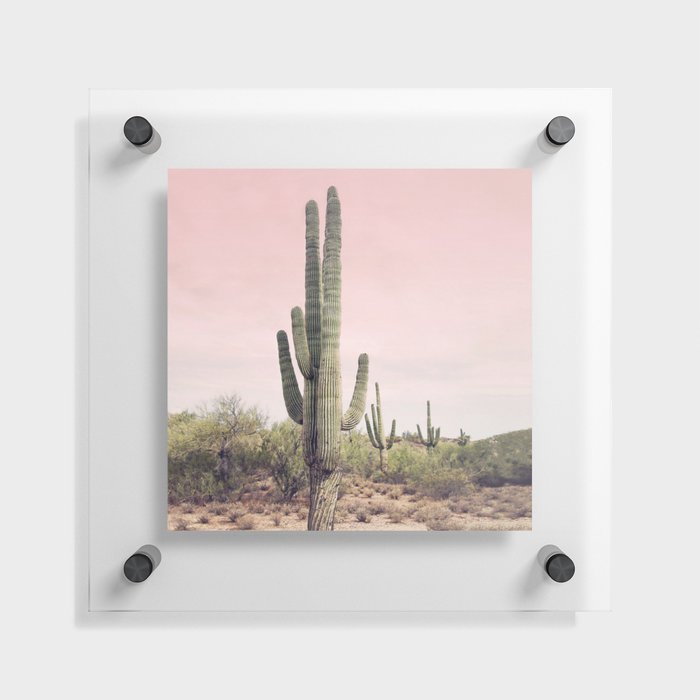 Blush Sky Cactus Floating Acrylic Print