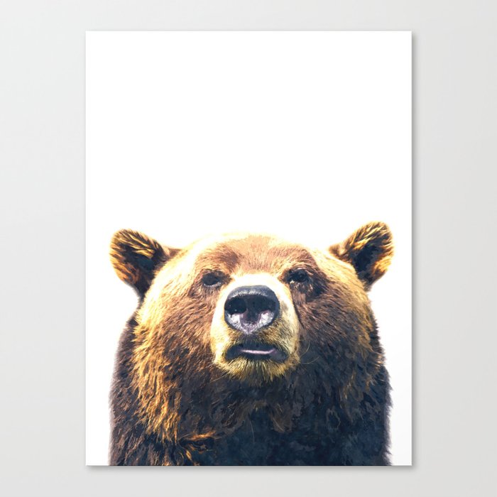 Bear portrait Canvas Print