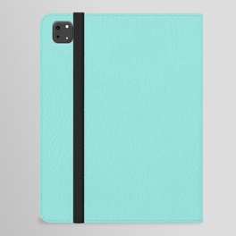 Aqua Fiesta iPad Folio Case