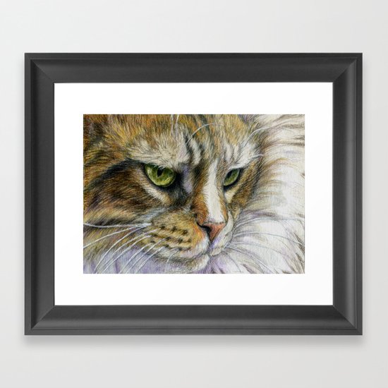 Cat portrait 806 Framed Art Print