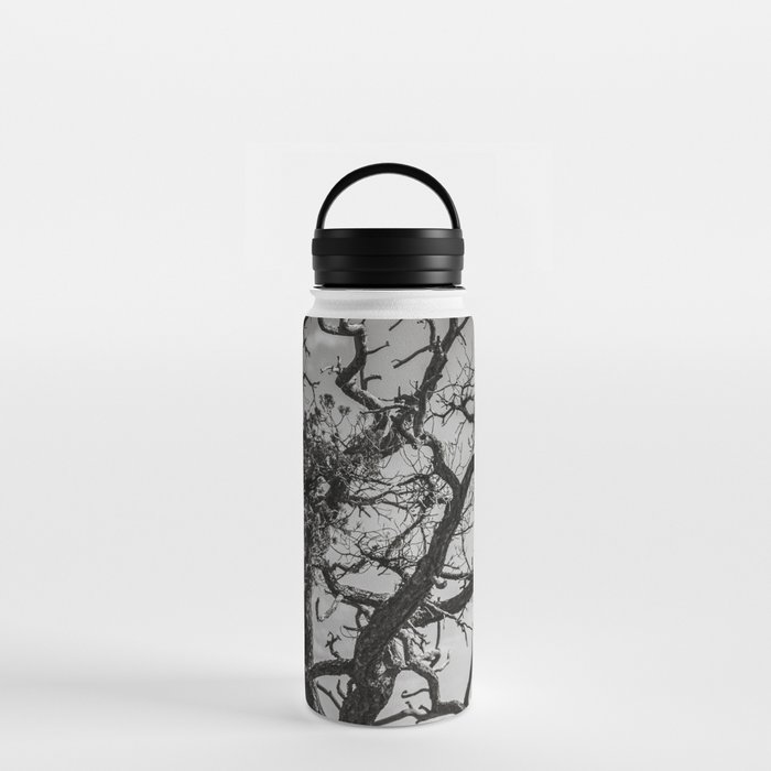 Ancient Tree Survivor Alive Water Bottle By Lost Kat Society6
