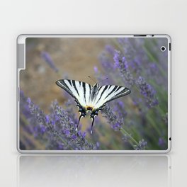 Stunning Swallowtail On Lavender Spike Photograph Laptop Skin