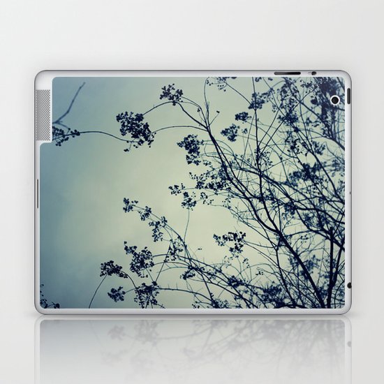 The Chill Factor Laptop & iPad Skin