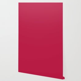 NOW BARBERRY RED COLOR Wallpaper