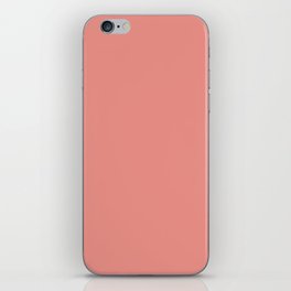 Flamingo Flowers iPhone Skin