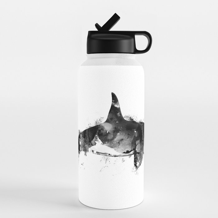 Killer Whale, Orcinus Orca Stainless Steel Water Bottle