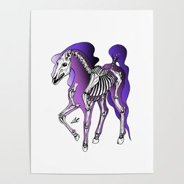 Horse Skeleton Poster