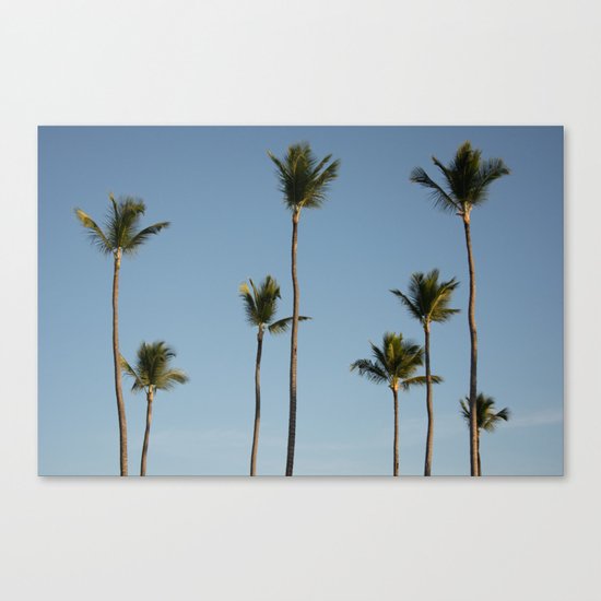 Palms Punta Cana Canvas Print