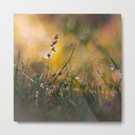 Beyond the Imagination Metal Print