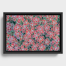Purple Flower (Alyssum) Artwork Print Framed Canvas