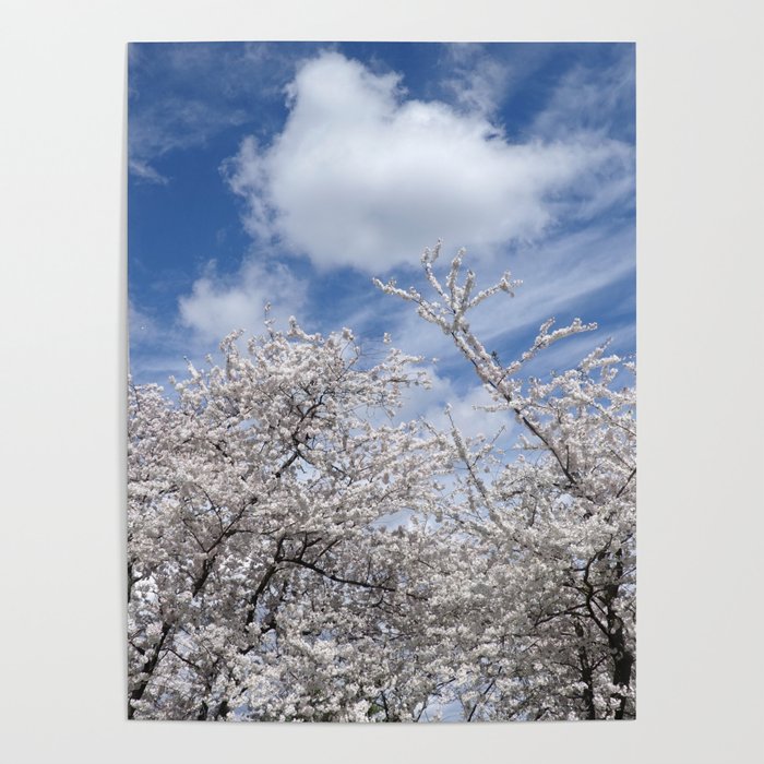 Washington DC Cherry Blossom Festival and the Washington Monument Kites Poster