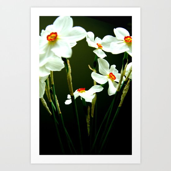 flower dream Art Print