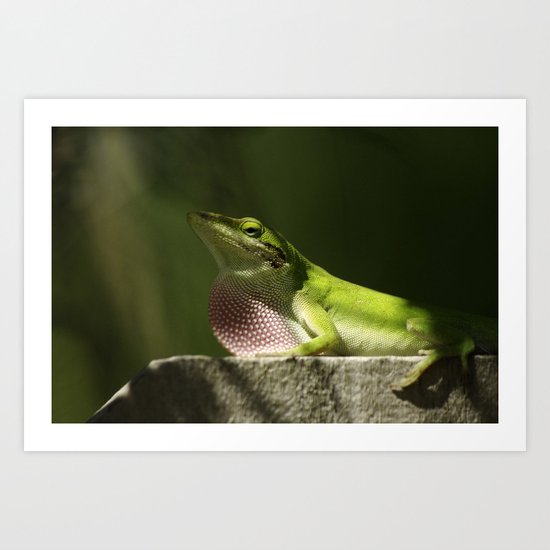 Mating Dance Art Print