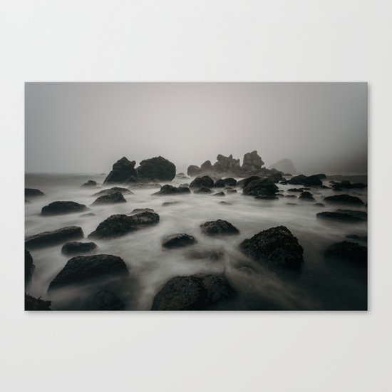 ocean shore Canvas Print
