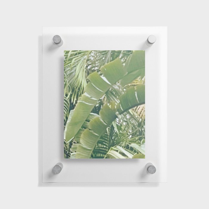 Green spring  Floating Acrylic Print