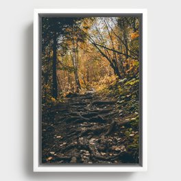 Rooted Framed Canvas