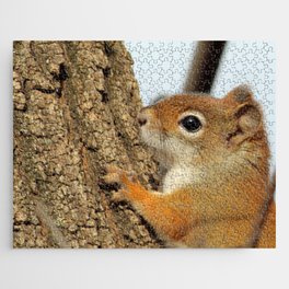 Baby Red Squirrel Close Up Jigsaw Puzzle