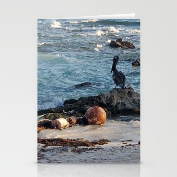 Caribbean Pelican on the rocks Stationery Cards