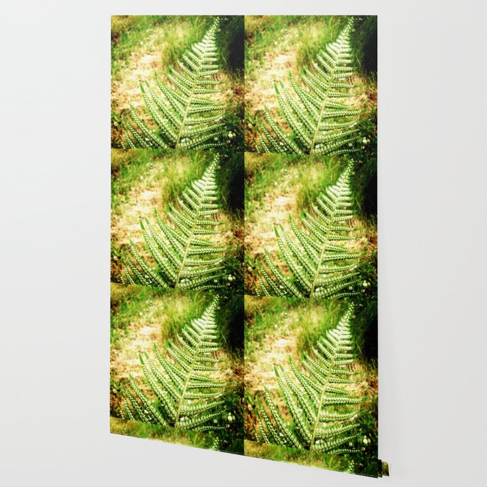 Green Fern Wallpaper By Minikegirl Society6