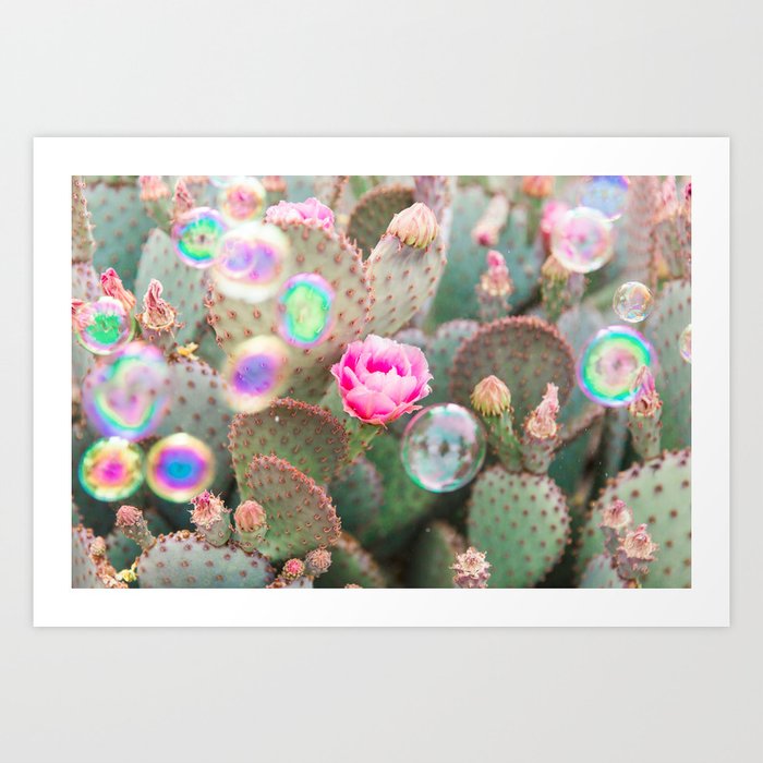 Prickly Pear Bubbles II Art Print